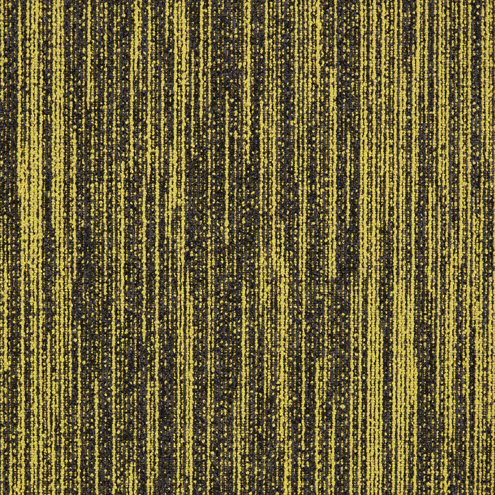 Modulyss First Decode 210